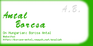 antal borcsa business card